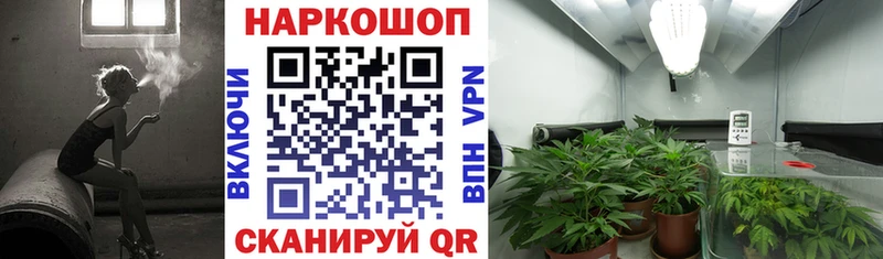 Какие есть наркотики Заинск ГАШ  Бошки Шишки  АМФЕТАМИН  blacksprut   Альфа ПВП  МЕФ 