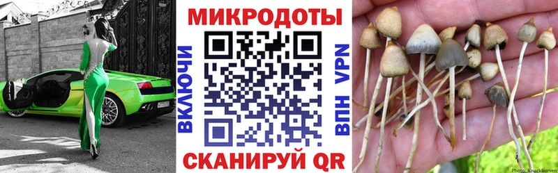 Галлюциногенные грибы Cubensis  Заинск 