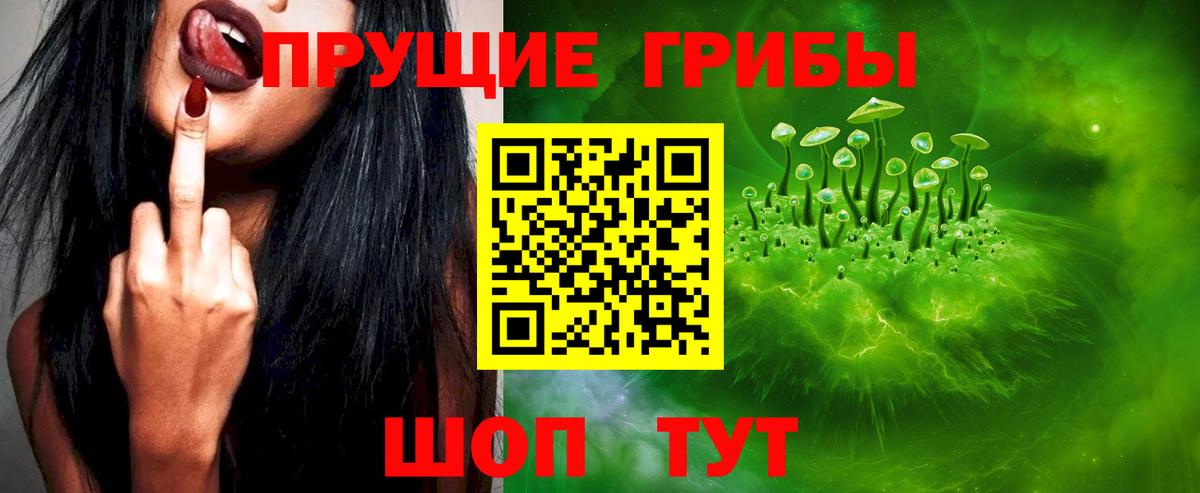 купить наркотики цена  Галлюциногенные грибы мицелий  Вход с VPN  Заинск 